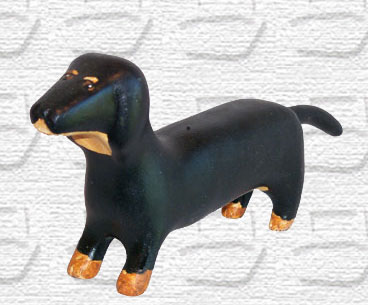 Dachshund