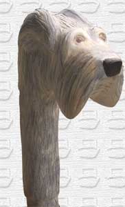  Schnauzer Cane